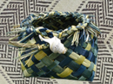 Māori Cultural Capability Pathway