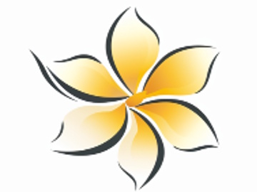 Talanoa Numeracy Educator Pathway