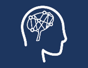 Universal Design for Learning (UDL) Educator Pathway